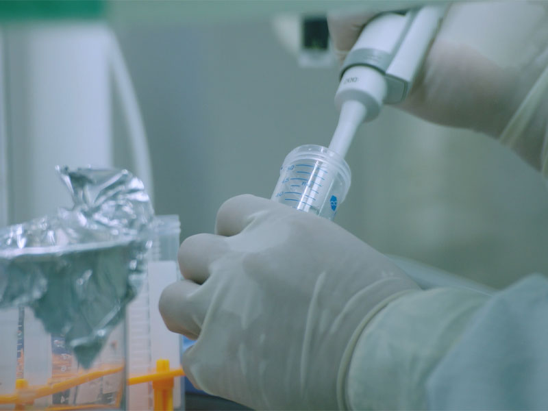 Humoral et cellularis immunitas in Mrna Rsv Vaccinum insigniter altiores sunt quam qui Internationally Marketed Products Application pro Fusce Triatio in US.